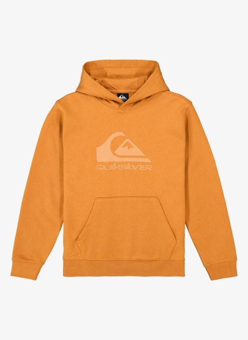 Quiksilver Sweats zippés Comp Logo Hoodie Youth garçon orange
