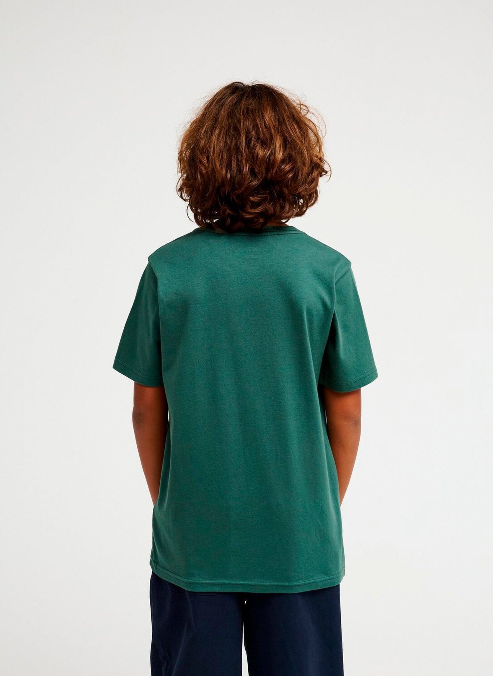 Tee-shirts Basic Ss Tee Youth garçon vert Quiksilver Tee-shirts Basic Ss Tee Youth garçon vert FOREST