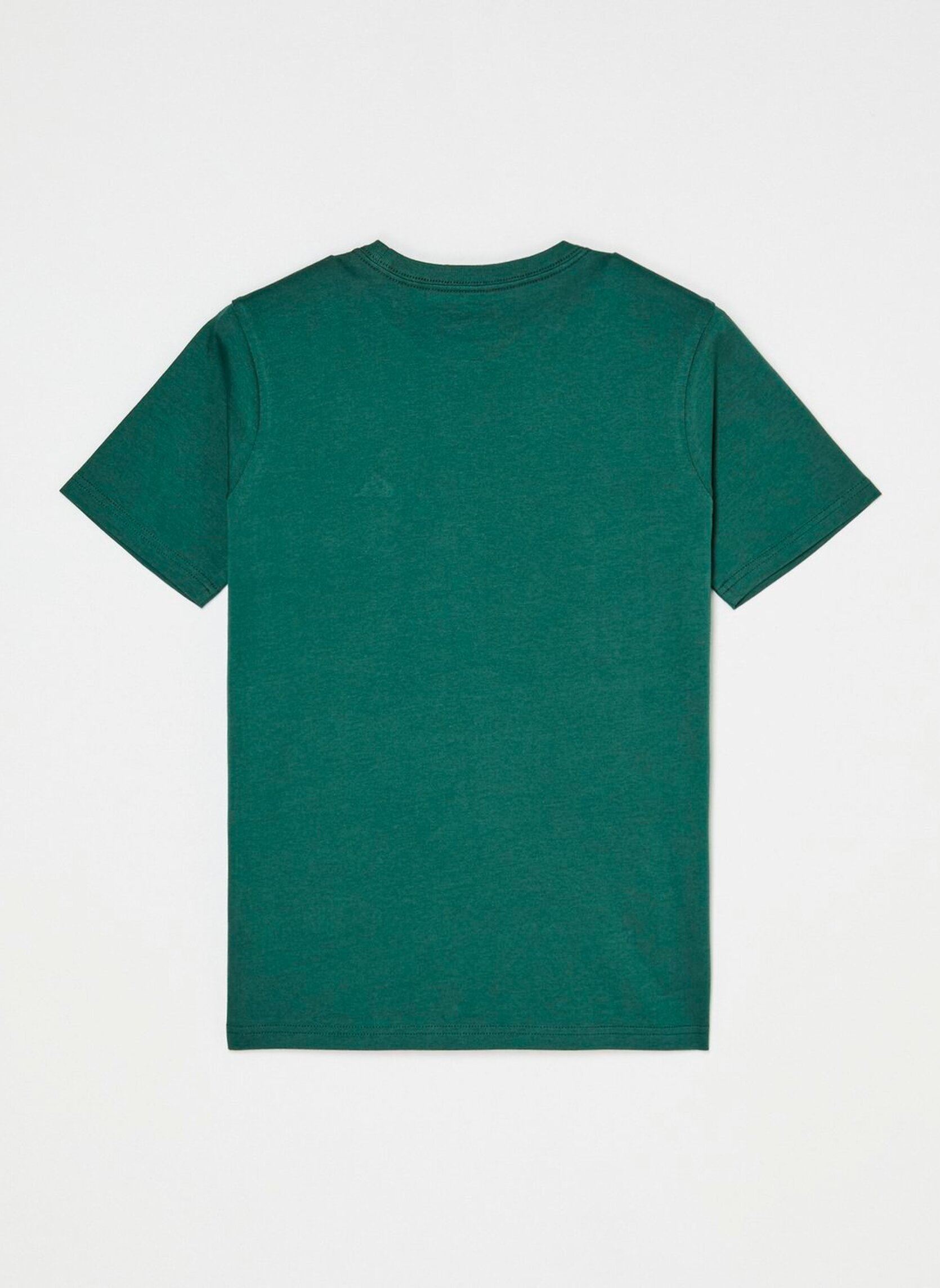 Tee-shirts Basic Ss Tee Youth garçon vert Quiksilver Tee-shirts Basic Ss Tee Youth garçon vert FOREST