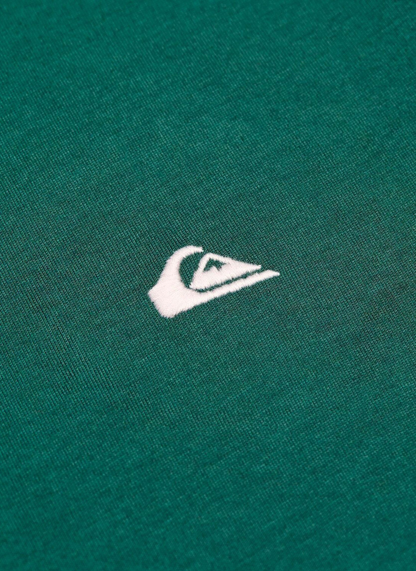 Tee-shirts Basic Ss Tee Youth garçon vert Quiksilver Tee-shirts Basic Ss Tee Youth garçon vert FOREST