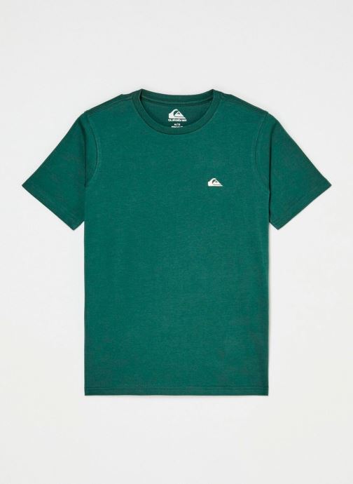 Quiksilver Tee-shirts Basic Ss Tee Youth garçon vert