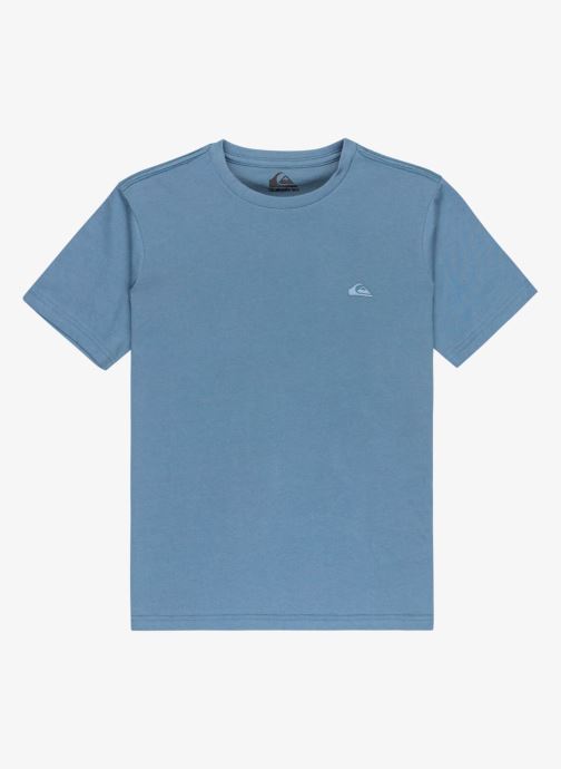 Quiksilver Tee-shirts manches courtes Basic Ss Tee Youth garçon bleu