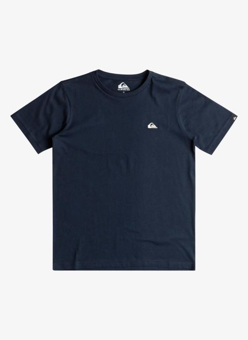 Quiksilver Tee-shirts manches courtes Basic Ss Tee Youth garçon bleu