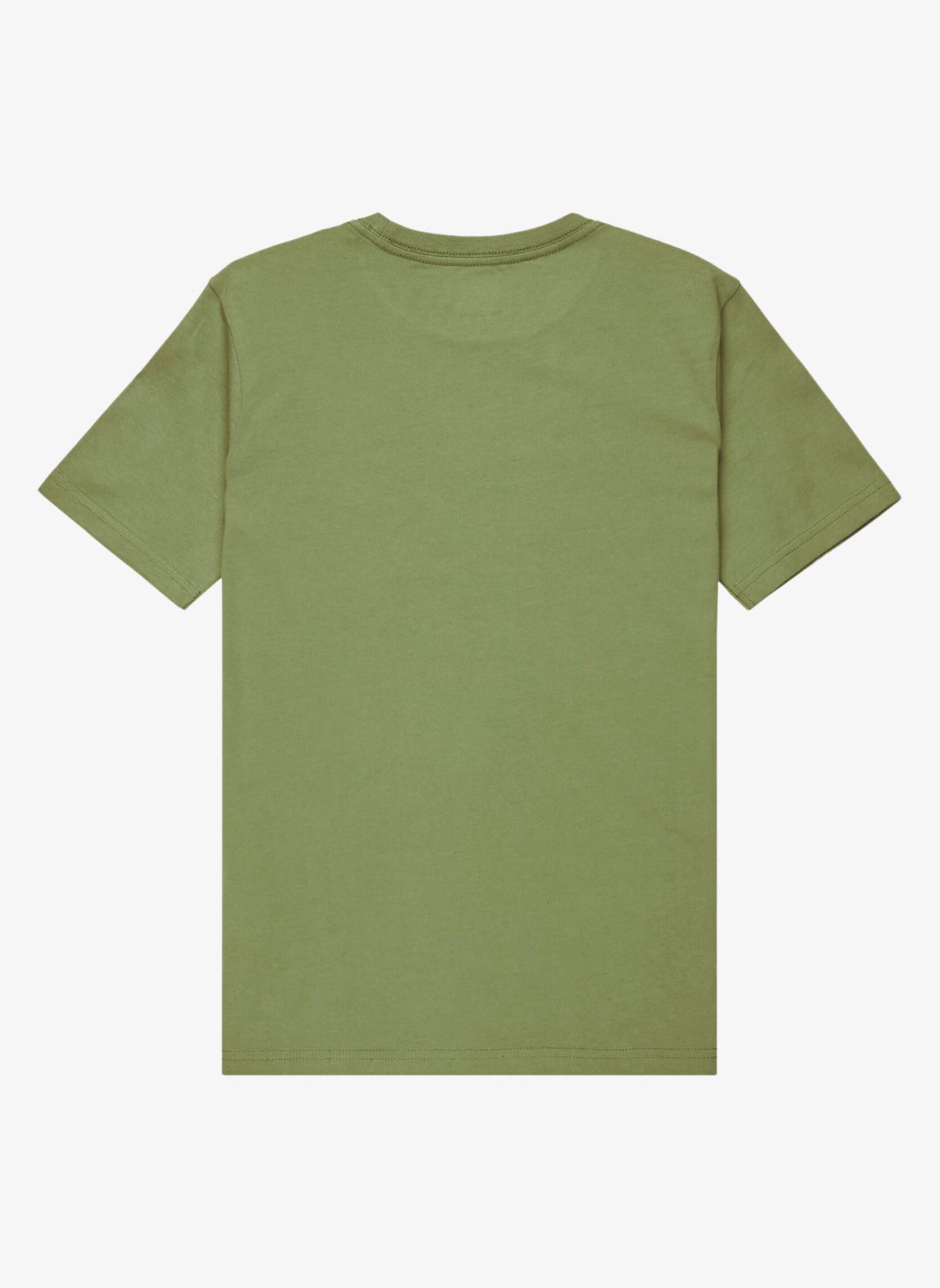 Tee-shirts manches courtes Basic Ss Tee Youth garçon vert Quiksilver Tee-shirts manches courtes Basic Ss Tee Youth garçon vert LODEN GREEN