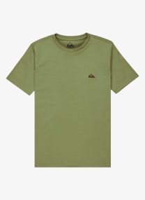 Tee-shirts manches courtes Basic Ss Tee Youth garçon bleu