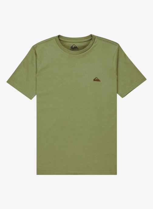 Quiksilver Tee-shirts manches courtes Basic Ss Tee Youth garçon vert