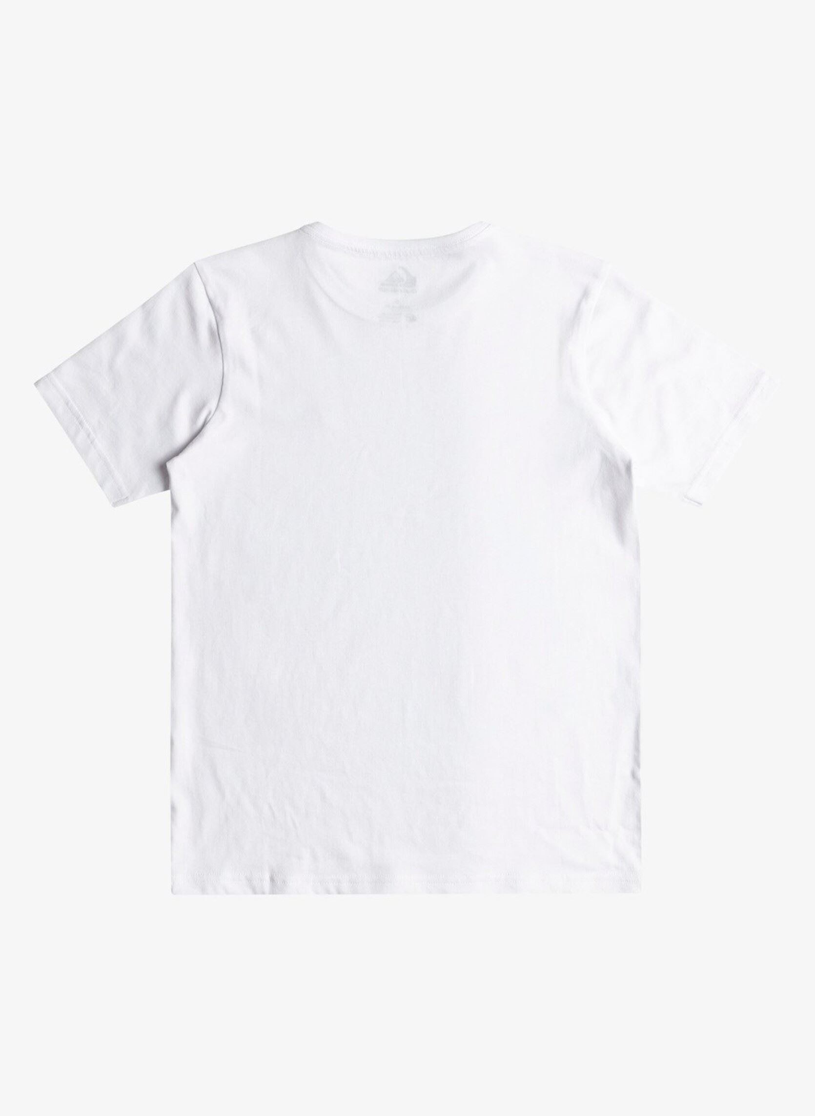 Tee-shirts manches courtes Basic Ss Tee Youth garçon blanc Quiksilver Tee-shirts manches courtes Basic Ss Tee Youth garçon blanc White
