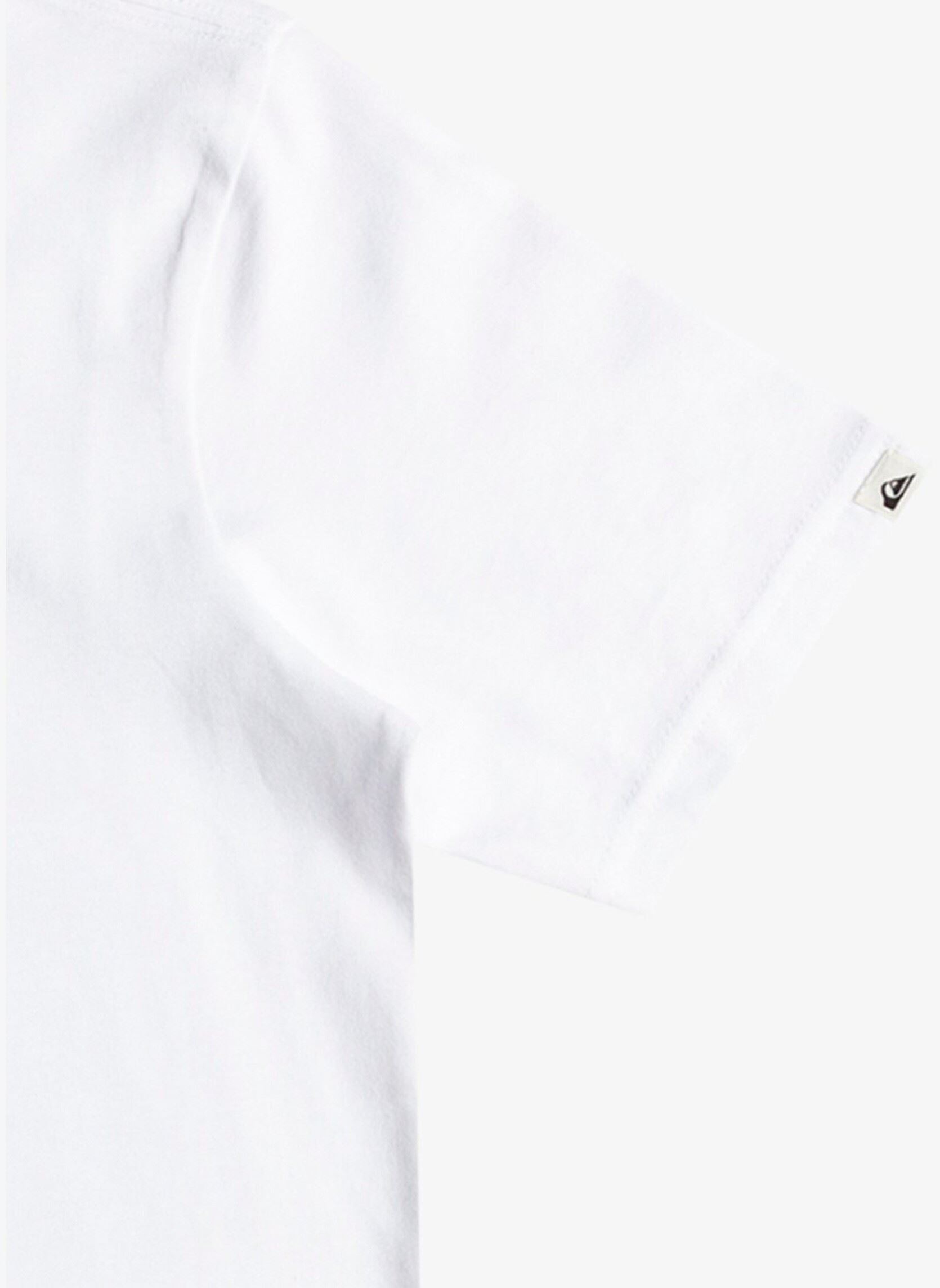 Tee-shirts manches courtes Basic Ss Tee Youth garçon blanc Quiksilver Tee-shirts manches courtes Basic Ss Tee Youth garçon blanc White