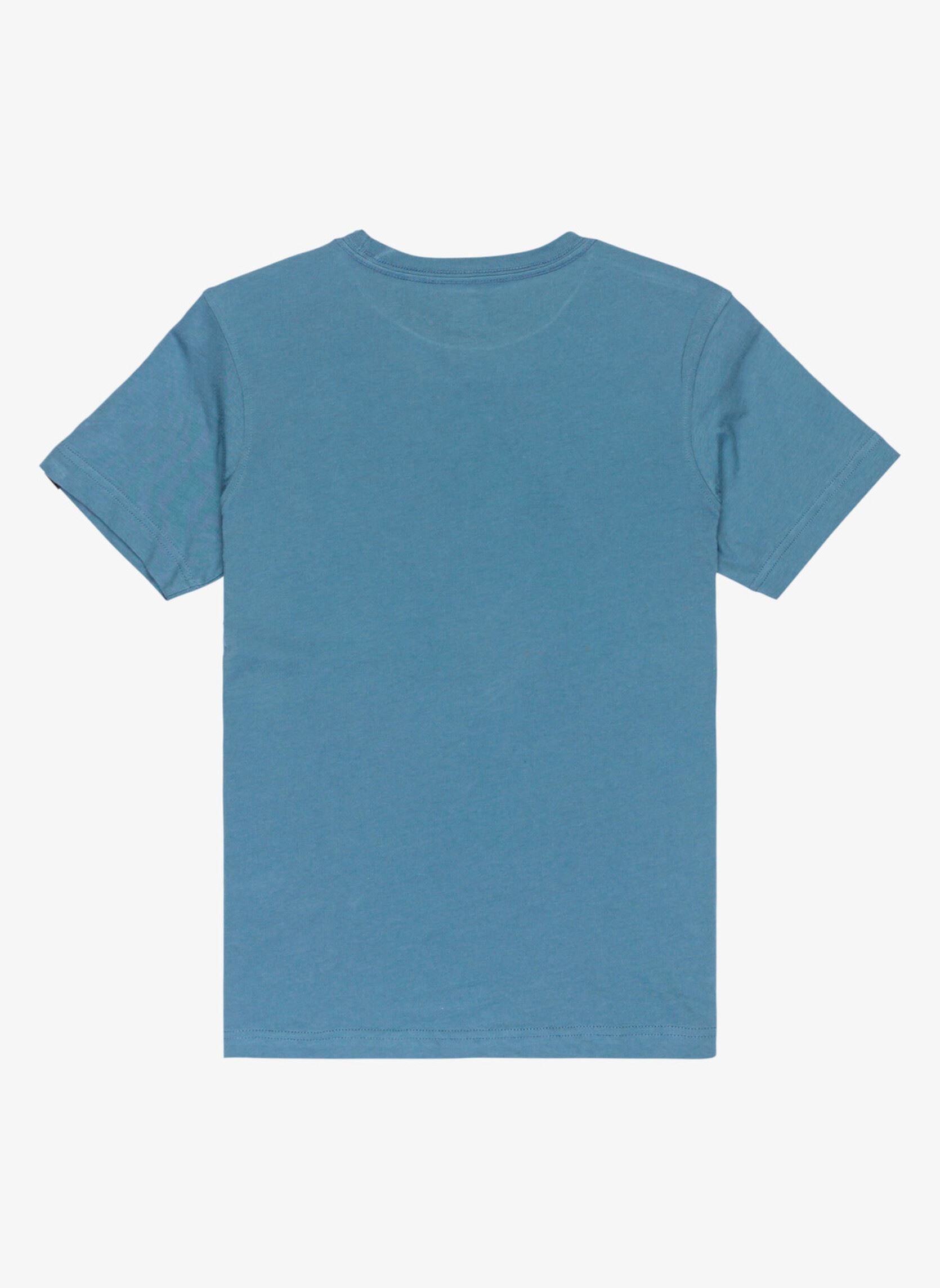 Tee-shirts manches courtes Ev Comp Logo Ss Youth garçon bleu Quiksilver Tee-shirts manches courtes Ev Comp Logo Ss Youth garçon bleu CHINA BLUE