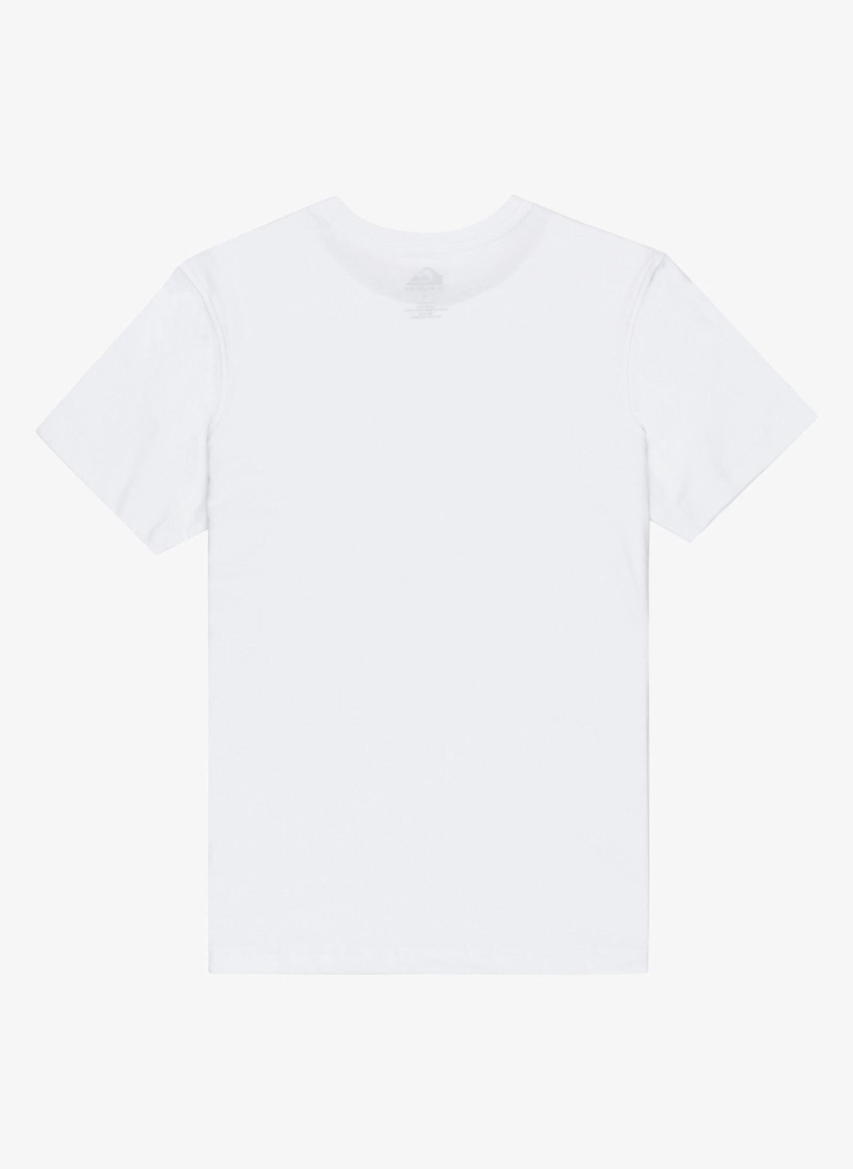 Tee-shirts manches courtes Ev Comp Logo Ss Youth garçon blanc Quiksilver Tee-shirts manches courtes Ev Comp Logo Ss Youth garçon blanc WHITE