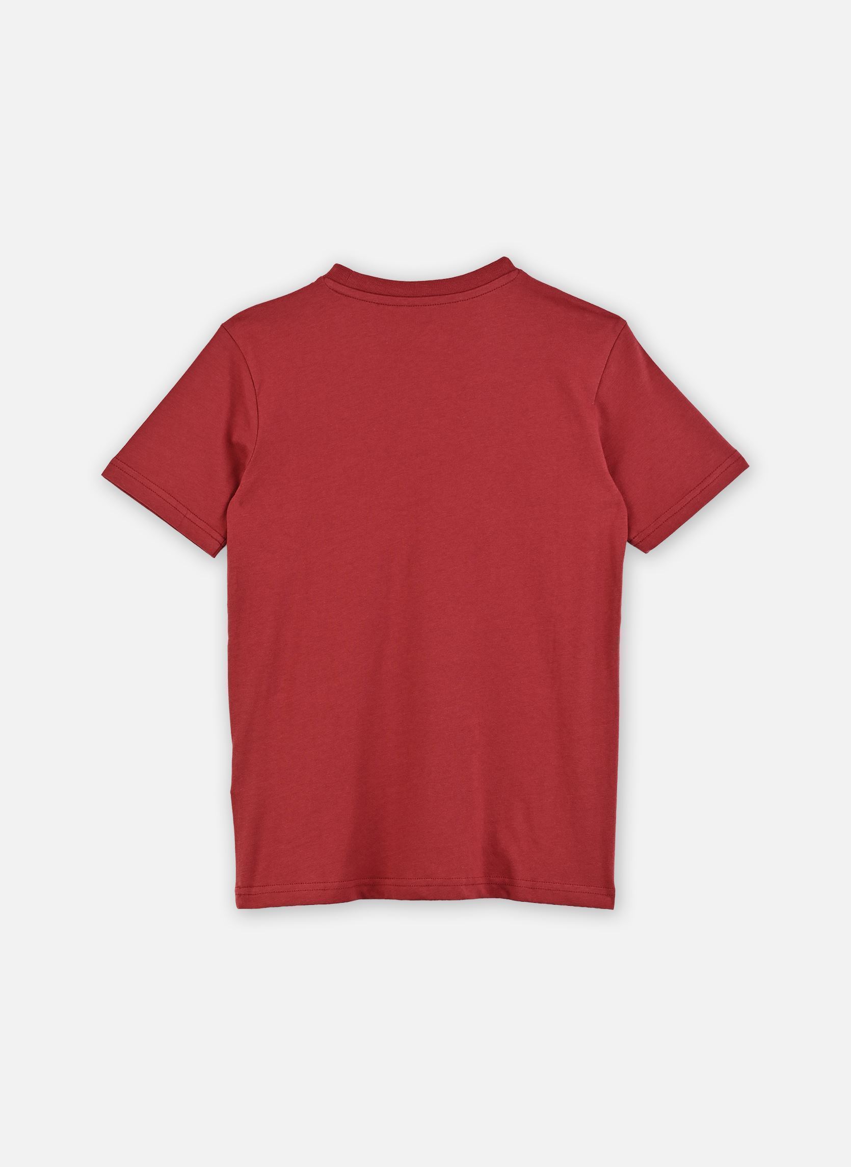 Kurzarm-T-Shirts Ev Comp Logo Ss Youth jungen rot Quiksilver Kurzarm-T-Shirts Ev Comp Logo Ss Youth jungen rot Burnt Russet