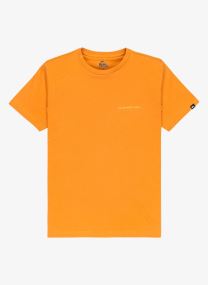 Tee-shirts manches courtes Ev Desert Waves Ss Youth garçon orange Quiksilver Tee-shirts manches courtes Ev Desert Waves Ss Youth garçon orange Almond