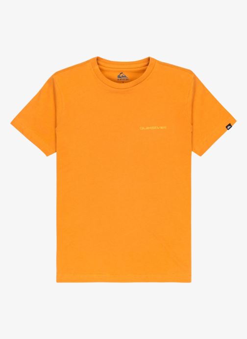 Quiksilver Tee-shirts manches courtes Ev Desert Waves Ss Youth garçon orange