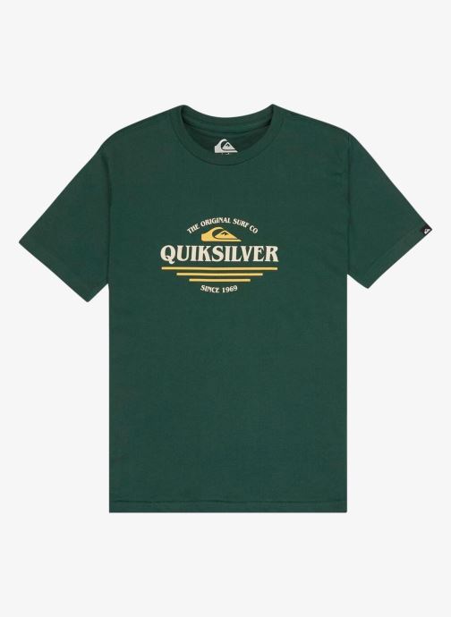 Quiksilver Tee-shirts manches courtes Ev Type Line Ss Youth garçon vert