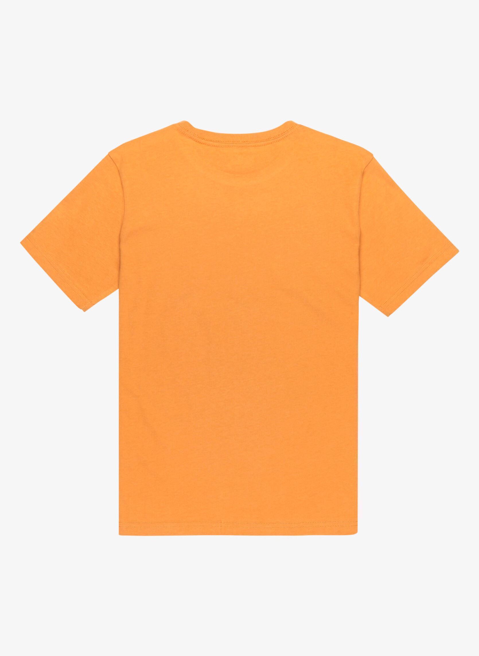 Tee-shirts manches courtes Ev Light Waves Ss Youth garçon orange Quiksilver Tee-shirts manches courtes Ev Light Waves Ss Youth garçon orange Almond