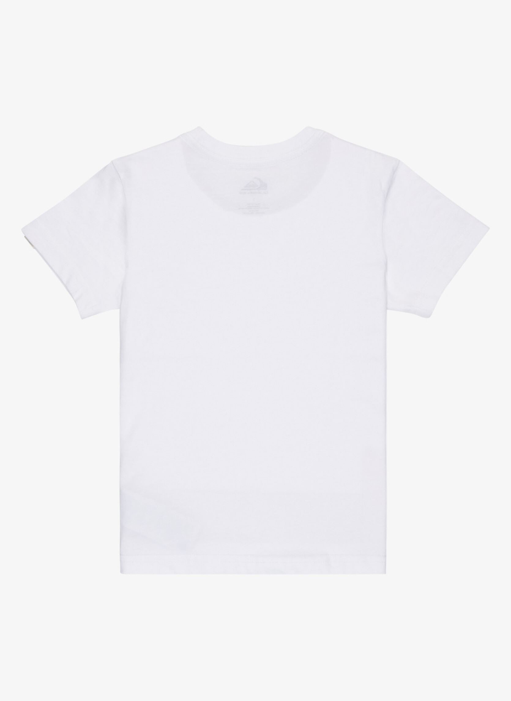 Tee-shirts manches courtes Ev Gone Surfing Ss Boy garçon blanc Quiksilver Tee-shirts manches courtes Ev Gone Surfing Ss Boy garçon blanc White