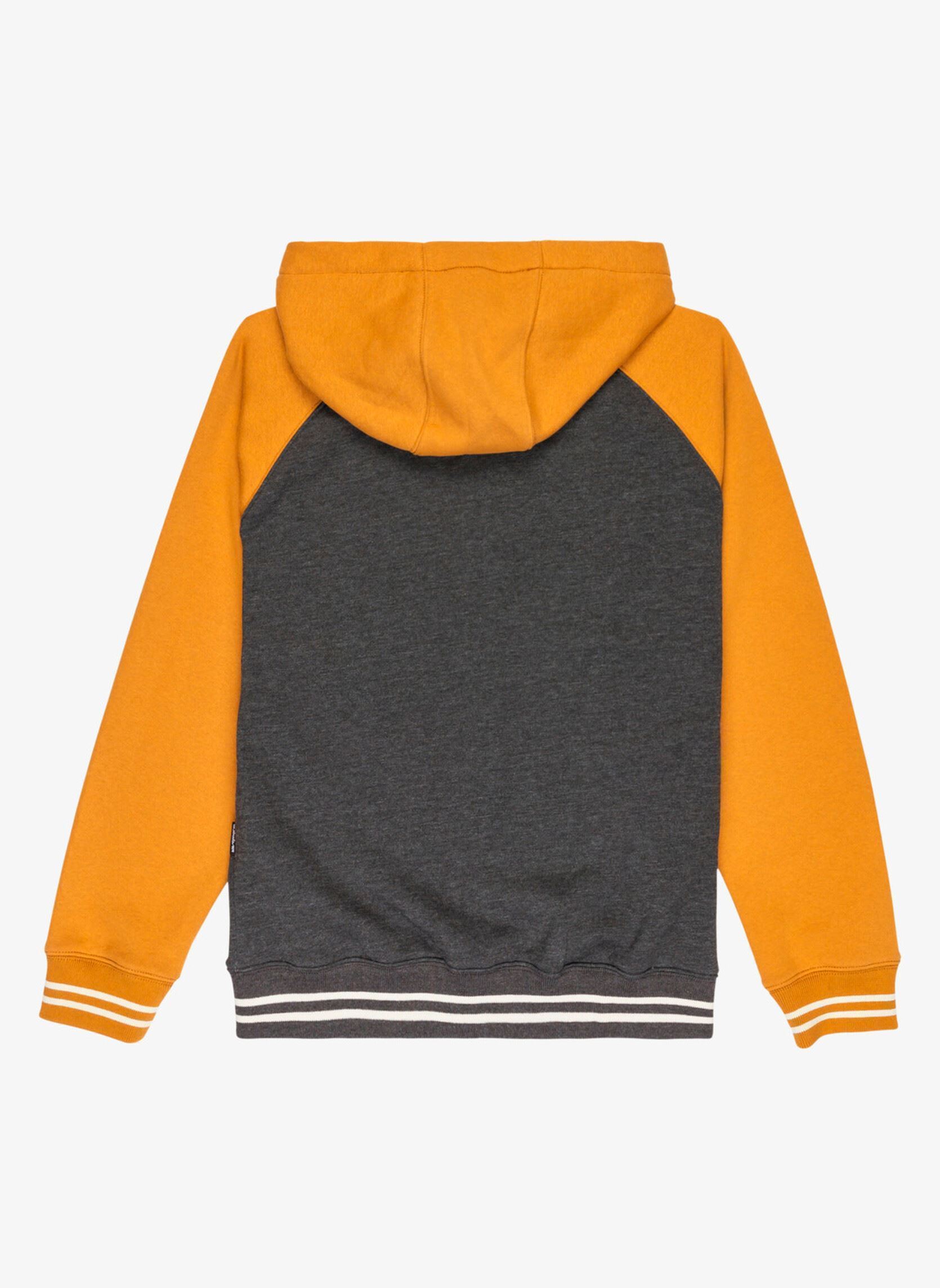 Sweats zippés Knowledge Area Fz Youth EQBFT03949-CMD0 garçon orange Quiksilver Sweats zippés Knowledge Area Fz Youth EQBFT03949-CMD0 garçon orange Almond