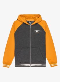 Sweats zippés Knowledge Area Fz Youth EQBFT03949-CMD0 garçon orange Quiksilver Sweats zippés Knowledge Area Fz Youth EQBFT03949-CMD0 garçon orange Almond