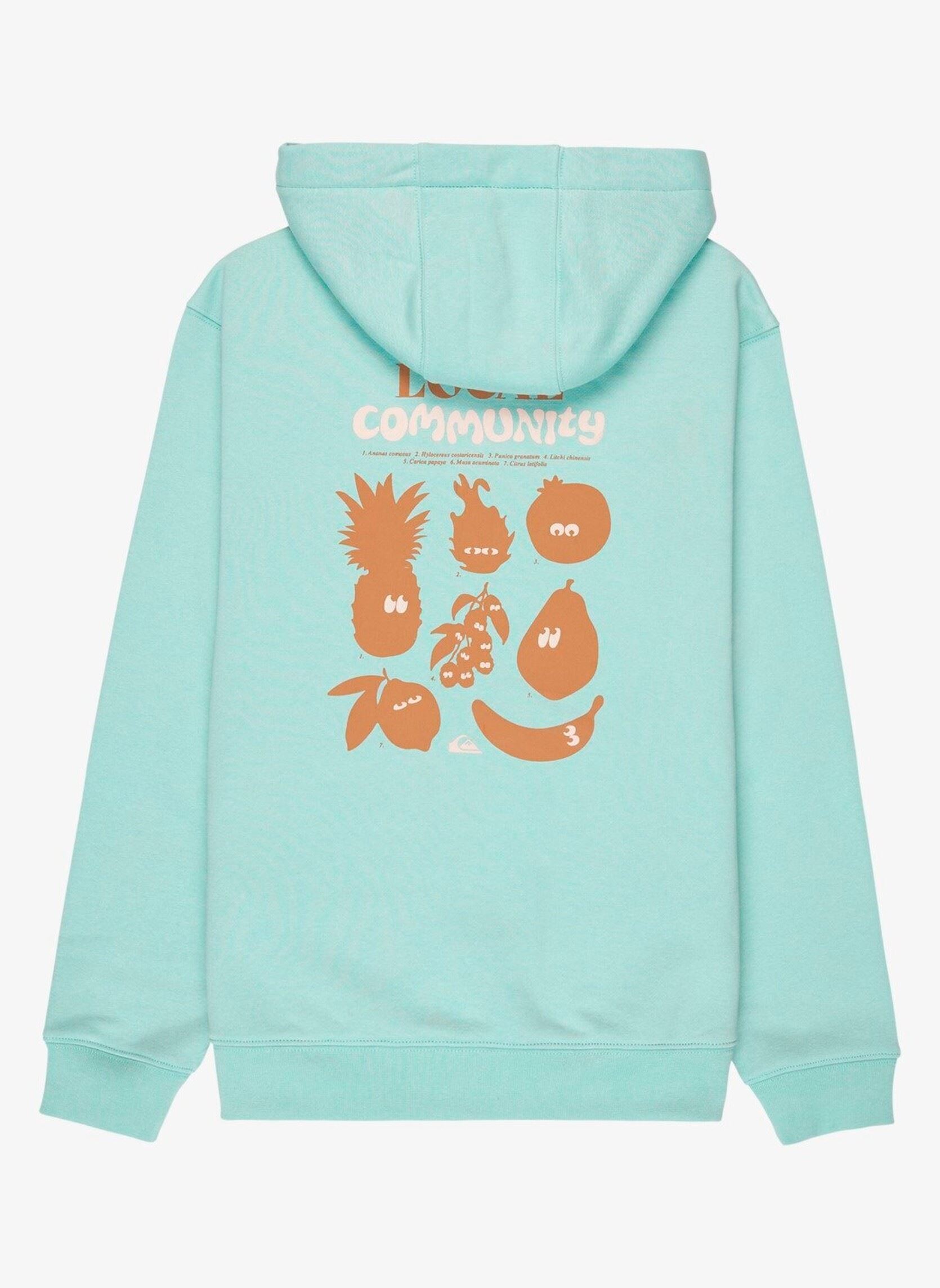 Sweaters met rits Graphic Hoodie Youth jongens blauw Quiksilver Sweaters met rits Graphic Hoodie Youth jongens blauw BLUE HAZE