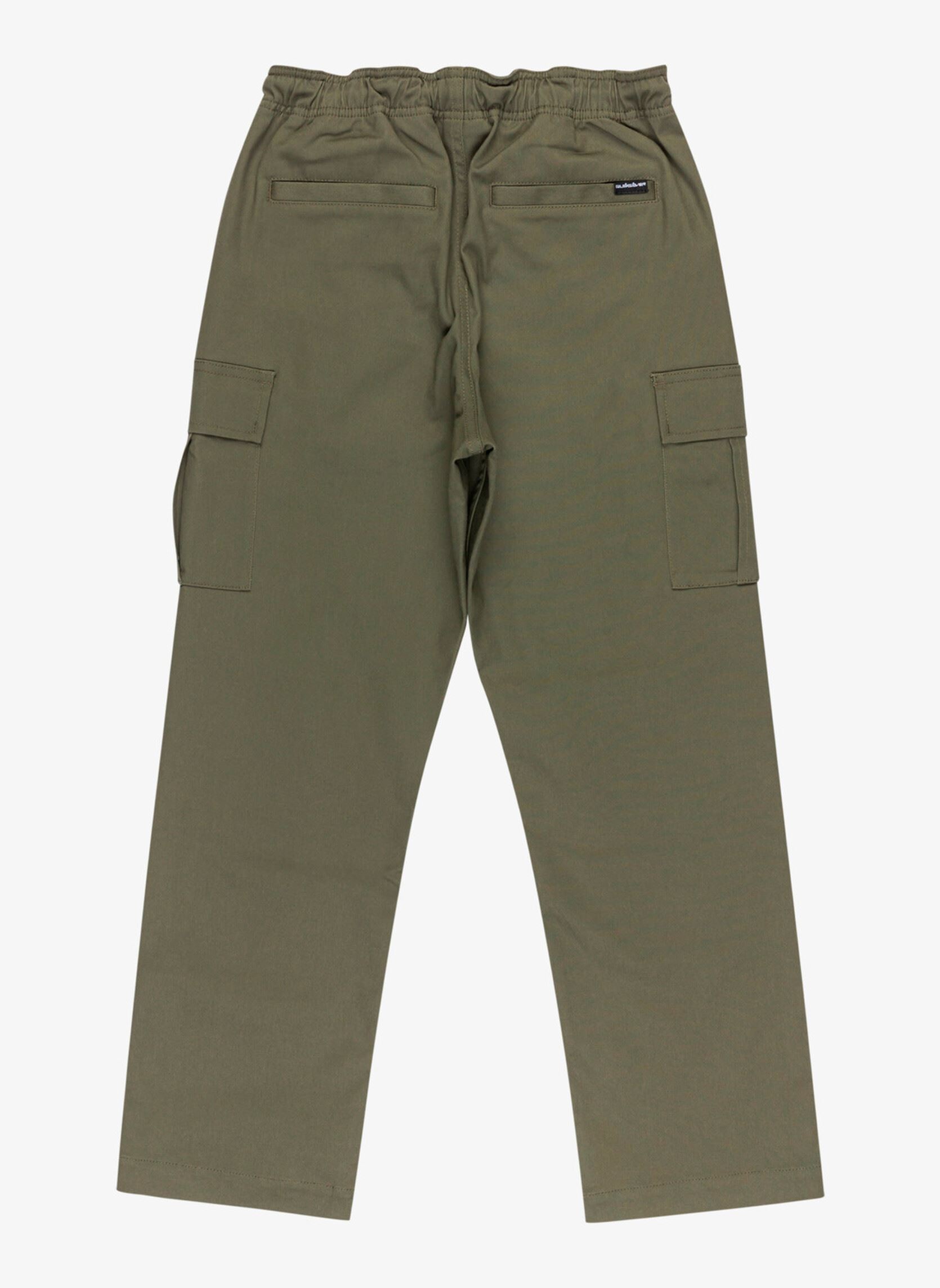 Pantalons Taxer Cargo Pant Youth EQBNP03133-CRE0 garçon vert Quiksilver Pantalons Taxer Cargo Pant Youth EQBNP03133-CRE0 garçon vert GRAPE LEAF