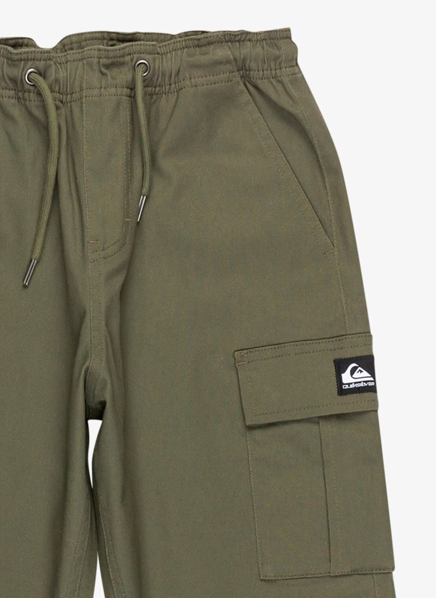 Pantalons Taxer Cargo Pant Youth EQBNP03133-CRE0 garçon vert Quiksilver Pantalons Taxer Cargo Pant Youth EQBNP03133-CRE0 garçon vert GRAPE LEAF