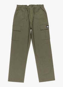 Pantalons Taxer Cargo Pant Youth EQBNP03133-CRE0 garçon vert Quiksilver Pantalons Taxer Cargo Pant Youth EQBNP03133-CRE0 garçon vert GRAPE LEAF