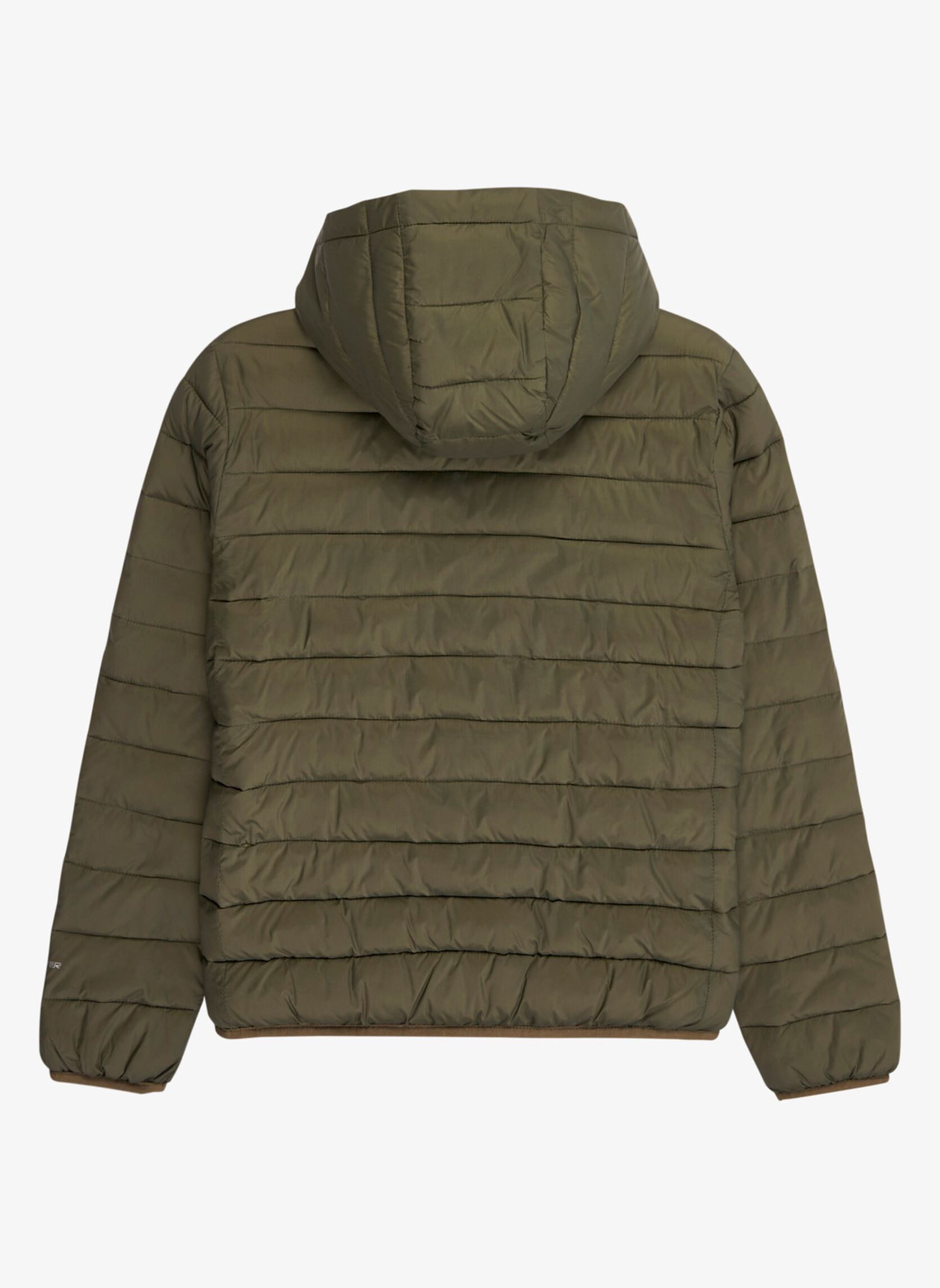 Doudounes Scaly Youth EQBJK03340-CRE0 garçon vert Quiksilver Doudounes Scaly Youth EQBJK03340-CRE0 garçon vert GRAPE LEAF