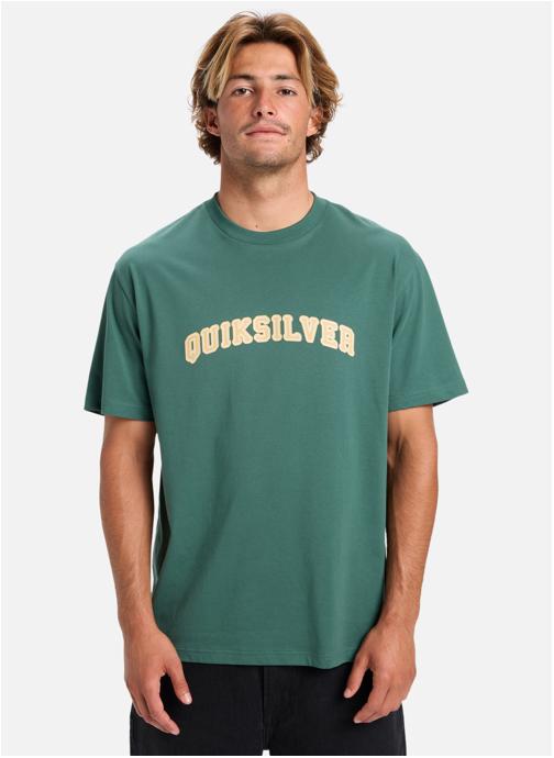 Quiksilver Tee-shirts Pto Fare Well homme vert
