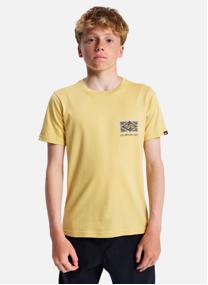 Tee-shirts Evo Crisis garçon jaune Quiksilver Tee-shirts Evo Crisis garçon jaune Jaune