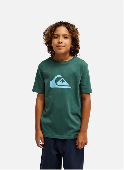 Quiksilver Tee-shirts T-shirt à manches courtes EV COMP LOGO garçon vert