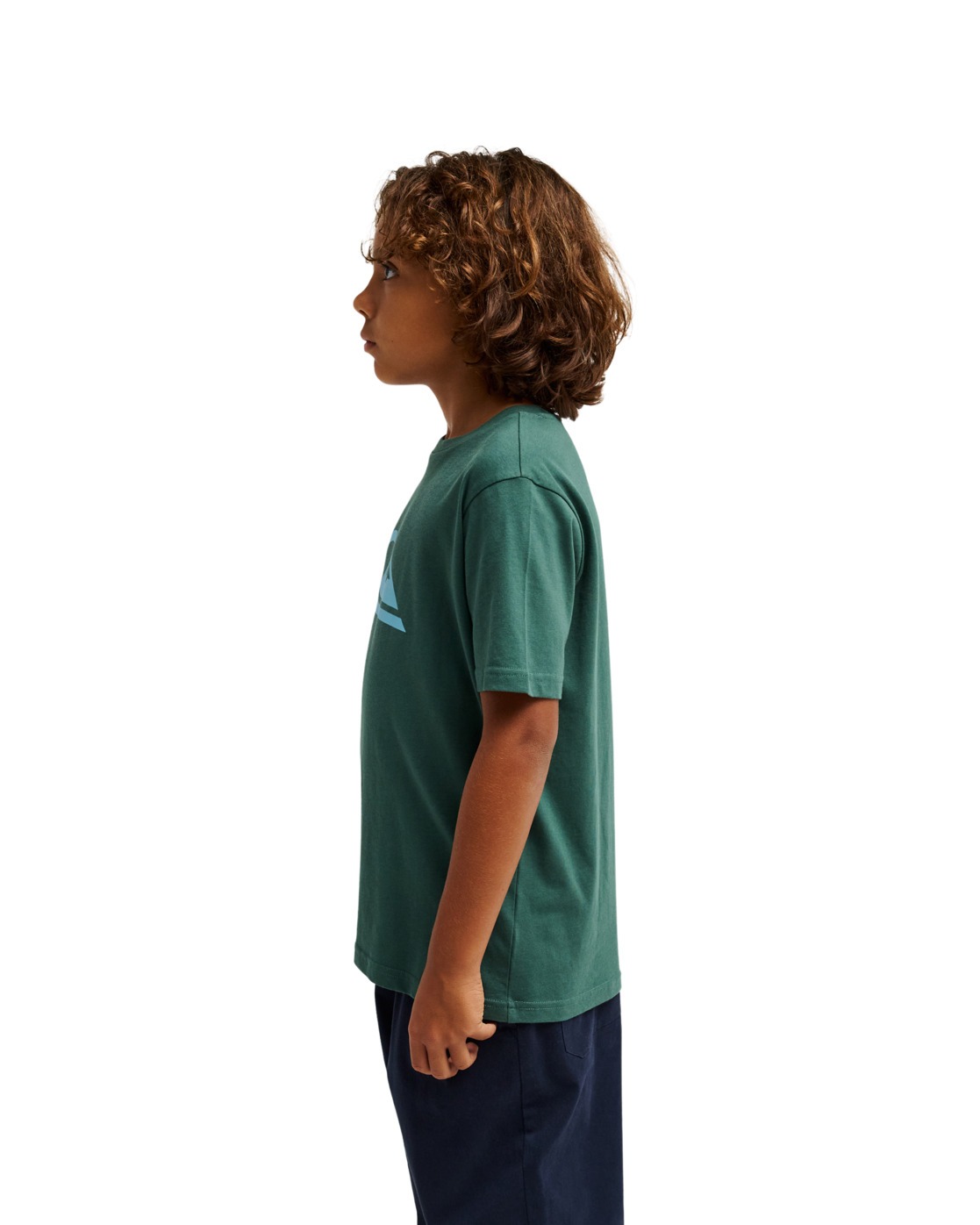 Tee-shirts Ev Comp Logo garçon vert Quiksilver Tee-shirts Ev Comp Logo garçon vert Vert