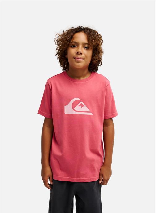 Quiksilver Tee-shirts T-shirt à manches courtes EV COMP LOGO garçon rose
