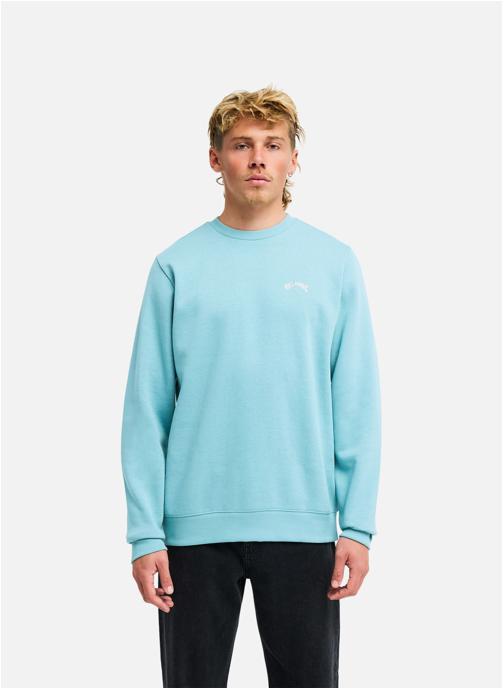 Billabong Sweats à capuche Arch Cr homme vert