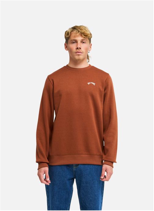 Billabong Sweats à capuche Arch Cr homme marron