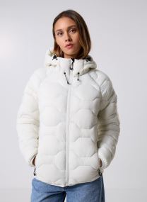 Doudounes ICEPEAK BLACKEY femme gris Icepeak Doudounes ICEPEAK BLACKEY femme gris Poudre