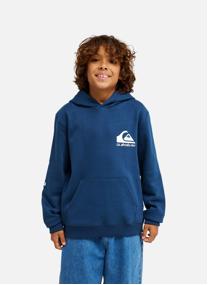 Sweats à capuche Omni Logo garçon marron