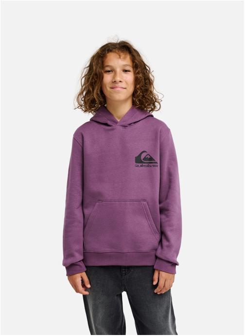 Quiksilver Sweats à capuche Omni Logo garçon violet