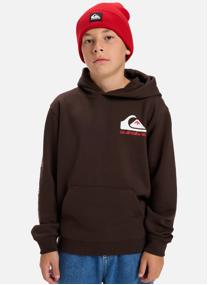 Sweats à capuche Omni Logo garçon marron Quiksilver Sweats à capuche Omni Logo garçon marron Marron