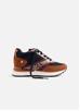 GIOSEPPO Baroda Trainers EU 36