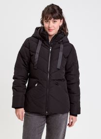 Doudounes DOUICAPWIN femme noir Cache Cache Doudounes DOUICAPWIN femme noir JET BLACK