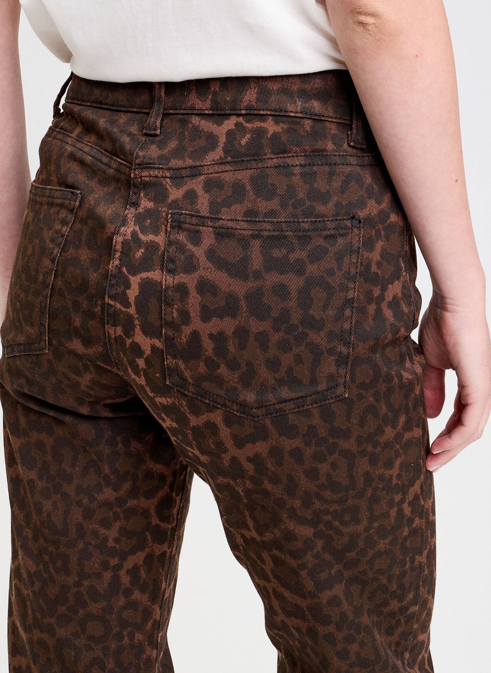 Rechte broeken ISTANO-LEO dames bruin Cache Cache Rechte broeken ISTANO-LEO dames bruin ANI-TRILEOESS-BR