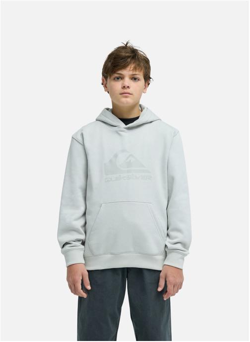 Quiksilver Sweats à capuche Comp Logo garçon gris