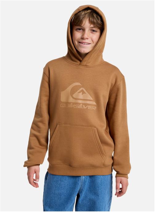 Quiksilver Sweats à capuche Comp Logo garçon marron