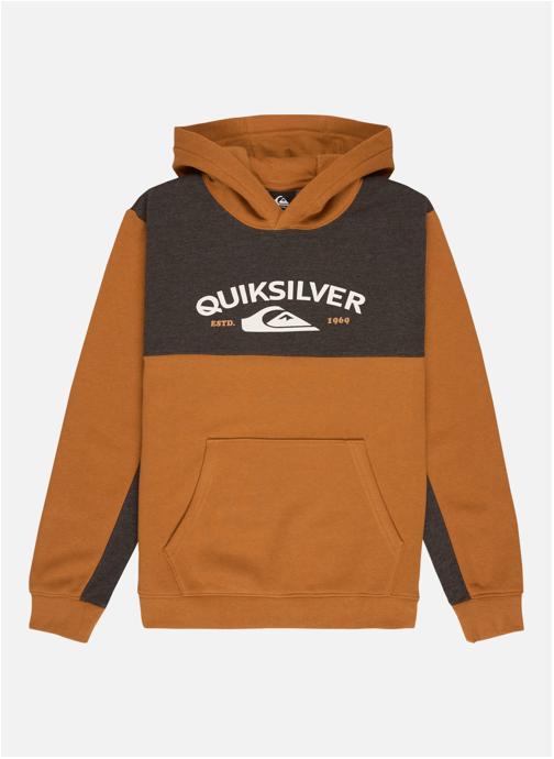 Quiksilver Sweats à capuche Knowledge AreaYouth garçon beige