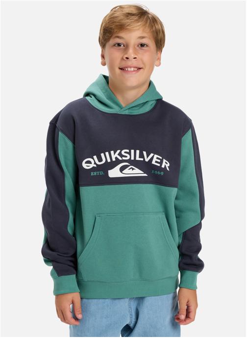 Quiksilver Sweats à capuche Knowledge AreaYouth garçon vert