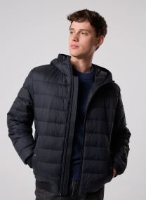 Doudounes Odenis homme noir