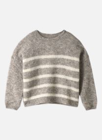 Pulls Aleo femme gris