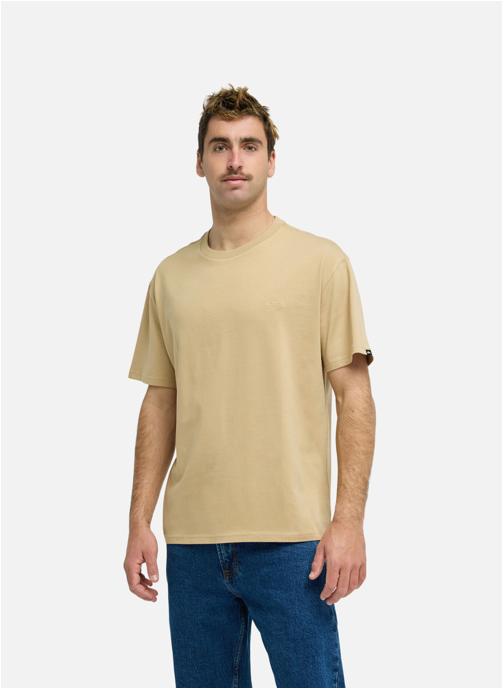 Quiksilver Tee-shirts Salt Water homme beige