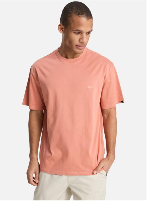 Quiksilver Tee-shirts Salt Water homme rose