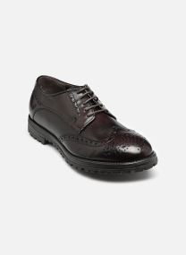 Derby schoenen ASSET D heren bruin